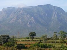 the mountains are covered with clouds and trees in the foreground is a green field