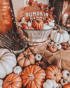 an arrangement of pumpkins and gourds on display