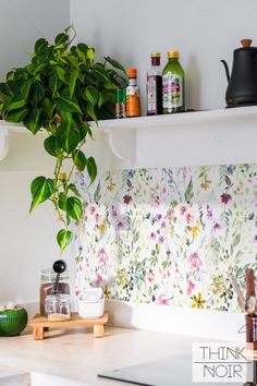 a potted plant sitting on top of a white shelf next to a countertop