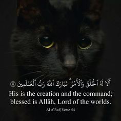 a black cat with an arabic quote on it's face and the caption, his creation and the command blessed is allah lord of the worlds