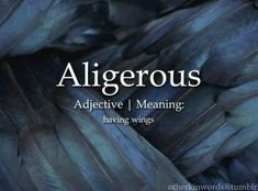 an image of blue feathers with the words, algerous