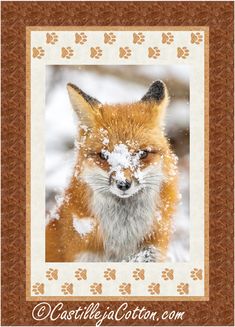 a red fox with snow on its face and paws in front of it's frame