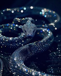 an image of a snake that is in the dark with some sparkles on it