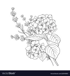 a bouquet of flowers with leaves and buds on a white background in the style of engraving