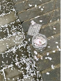 a cup filled with white flowers sitting on top of a sidewalk next to a trash can