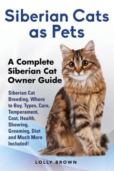 a cat sitting on top of a blue and white background with the words siberian cats as pets