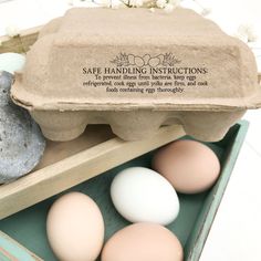 some eggs are in a carton on the floor next to other eggs and rocks