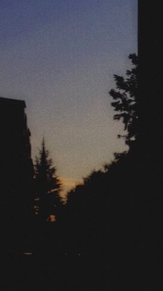 the silhouette of trees and buildings against a blue sky at night with an airplane flying in the distance