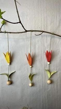 four flowers are hanging from a branch on the wall