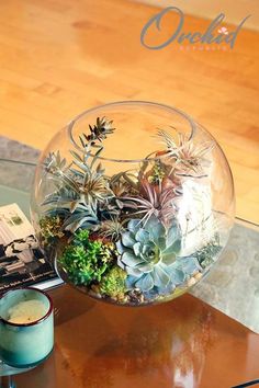 a glass bowl filled with succulents on top of a table next to a book