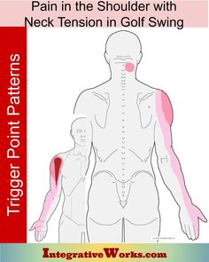 Shoulder Pain and Neck Tension in Golf Swing - Integrative Works Rotator Cuff Muscles, Build Resilience