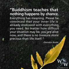 a quote from buddha on the black ground with yellow leaves