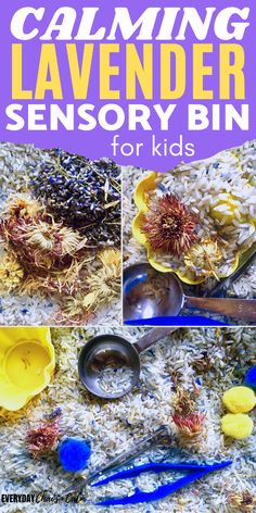 Looking for a sensory bin for kids that doubles as a calming aid? Make this calming lavender sensory bin that's great for kids and it gives them sensory play time while also calming them down! Great sensory tub for preschoolers or toddlers! Quiet Bins, Rice Sensory Bin, Lavender Rice, Toddlers Crafts, Over Tired, Preschool Sensory, Sensory Tubs, Winter Reading