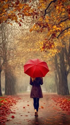 a woman walking in the rain with an umbrella over her head and red leaves on the ground