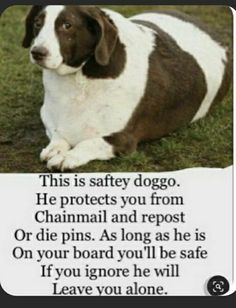 a brown and white dog laying on top of grass next to a sign that says, this is safety dog he protects you from chamail and repost or die pins