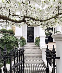 the instagram page is displayed with an image of a house and trees in bloom