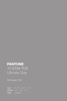 pantone's ultimate gray paint color for the ultimate gray