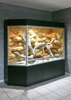 an aquarium with rocks in it and water on the bottom floor is lit by sunlight