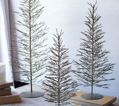 three small pine trees sitting on top of a table next to books and a window