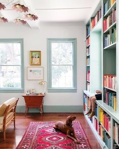 a dog laying on the floor in front of a bookshelf filled with books