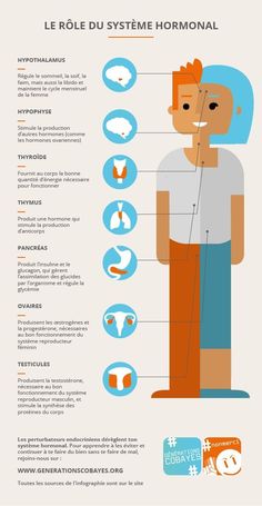 an info poster showing the different types of human body parts and their functions in french