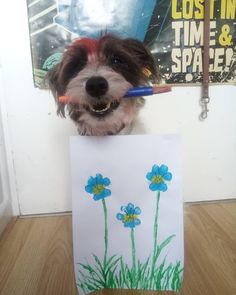 a dog holding a pencil in its mouth while sitting next to a piece of paper