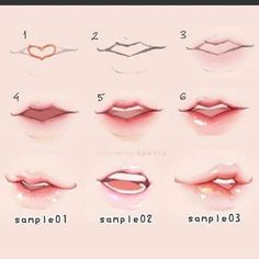 various lips with different shapes and sizes