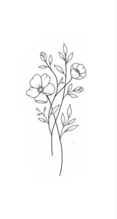 a drawing of some flowers on a white background