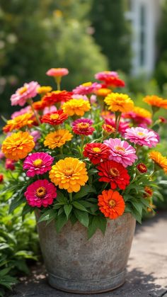 an assortment of colorful flowers in a pot