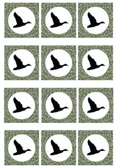 the silhouettes of birds are shown in black and white, with circles around them