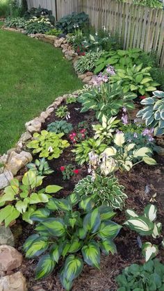 a garden filled with lots of different types of flowers and plants next to a wooden fence