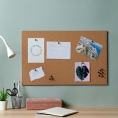 a cork board with magnets and pictures on it next to a potted plant