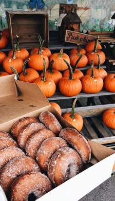 there are many pumpkins and donuts on display