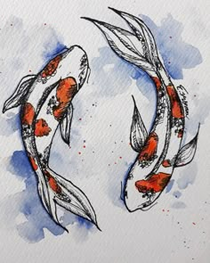 two orange and black koi fish swimming in watercolor on white paper with blue spots