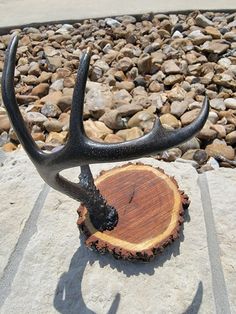 a piece of wood with antlers is sitting on the ground next to some rocks