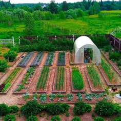 an aerial view of a vegetable garden with lots of plants