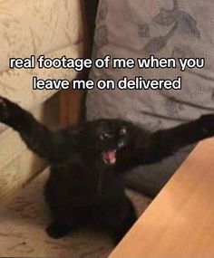 a black cat sitting on top of a couch next to a table with its paws in the air