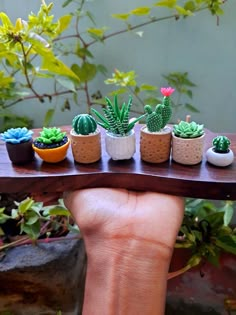 miniature succulents are arranged in small pots on a wooden table with greenery behind them