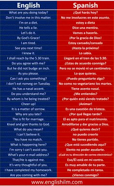 two different types of english and spanish words with the same language on each one side