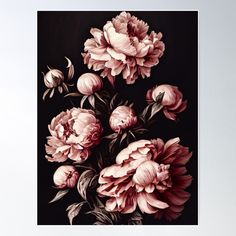 pink peonies on black background with leaves and stems in the foreground poster