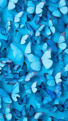 many blue butterflies are flying in the air and there is no image here to provide a caption for