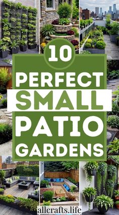 the words 10 perfect small patio gardens are shown in green and white with pictures of different plants