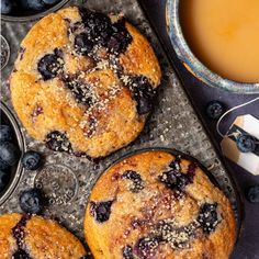 vegan blueberry muffins in a muffin tin