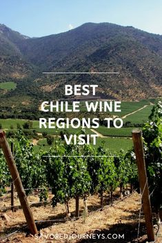 A vineyard in Chile Chile Trip, Viking Cruise, America Trip, Torres Del Paine National Park, Cuenca Ecuador