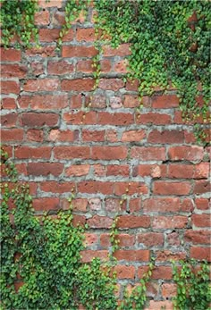 an orange fire hydrant sitting on the side of a brick wall covered in ivy