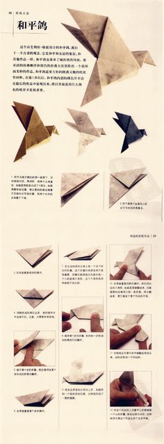 origami bird instructions in english and chinese