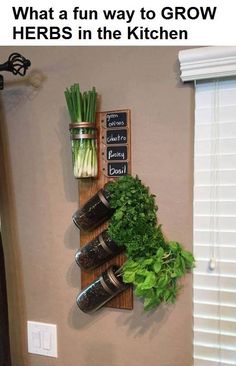 a wall mounted herb rack with herbs and spices