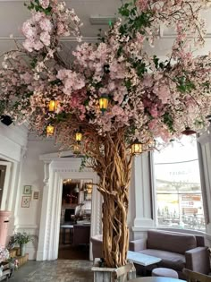 a tall tree with lots of pink flowers on it's branches in front of a window