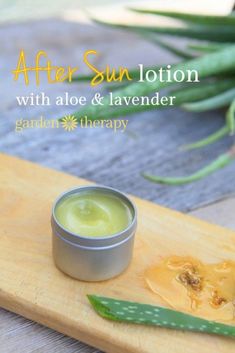 Herbal Gifts, After Sun Lotion, Aloe Barbadensis Miller, Salve Recipes, Lotion Recipe, Diy Lotion, Brown Spots Removal, Homemade Lotion, Lotion Bar