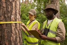 two people in yellow vests standing next to a tree and measuring tape on the trunk